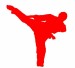 karate - logo